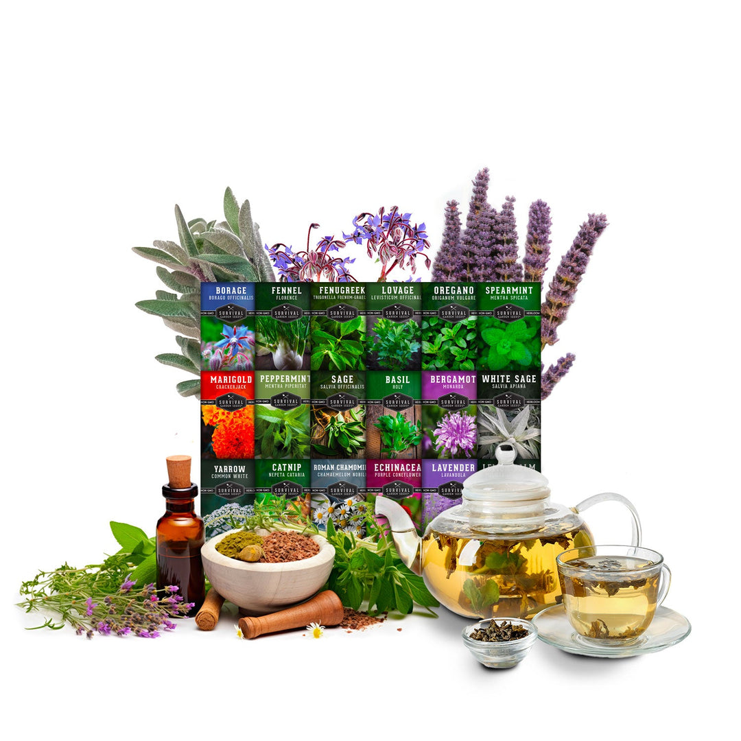 Survival Garden Seeds: Medicinal Herb Collection - 18 Medicinal Herbs