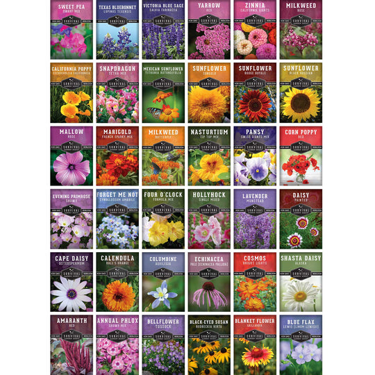 Survival Garden Seeds: Functional Flower Garden Kit - 36 Helpful Flowers