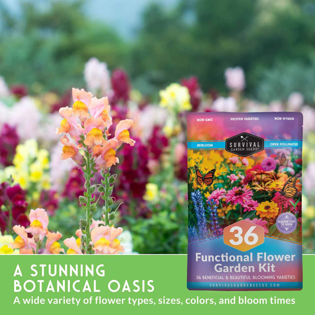 Survival Garden Seeds: Functional Flower Garden Kit - 36 Helpful Flowers