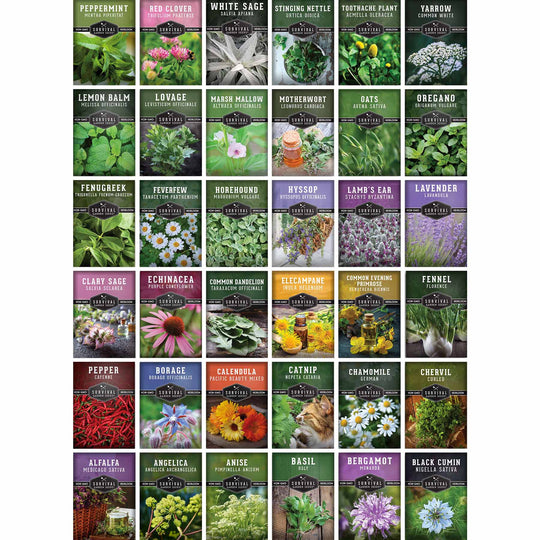 Survival Garden Seeds: Ultimate Medicinal Herb Seed Collection - 36 Medicinal Herbs