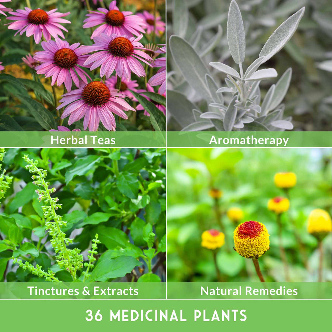 Survival Garden Seeds: Ultimate Medicinal Herb Seed Collection - 36 Medicinal Herbs
