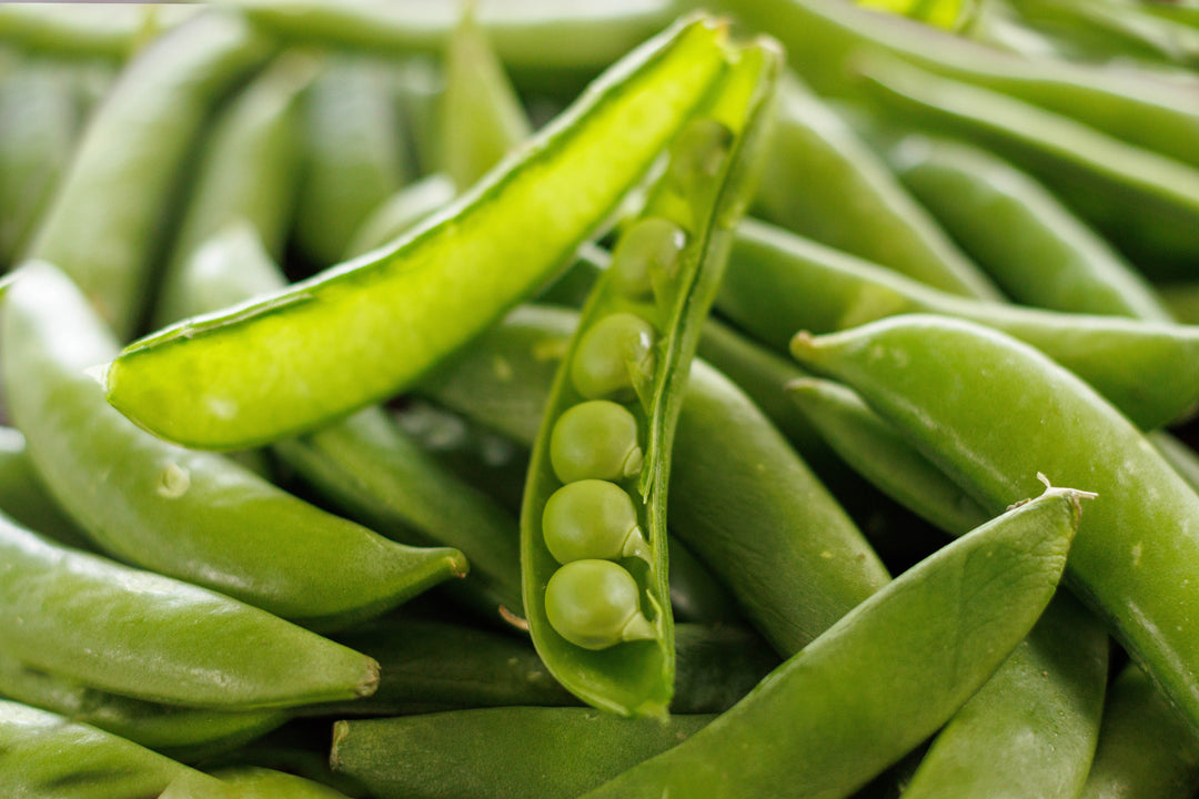 Heaven's Harvest: Heirloom Max Seed Kit | 39 Different Species