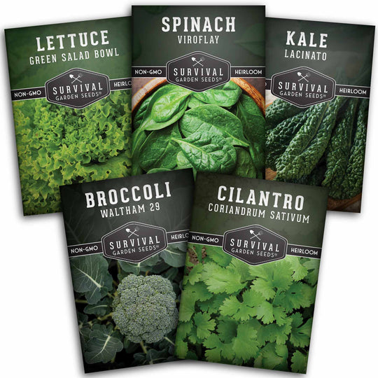 Survival Garden Seeds: Cool Weather Vegetable Seed Collection - Spinach, Kale, Cilantro, Broccoli, and Leaf Lettuce