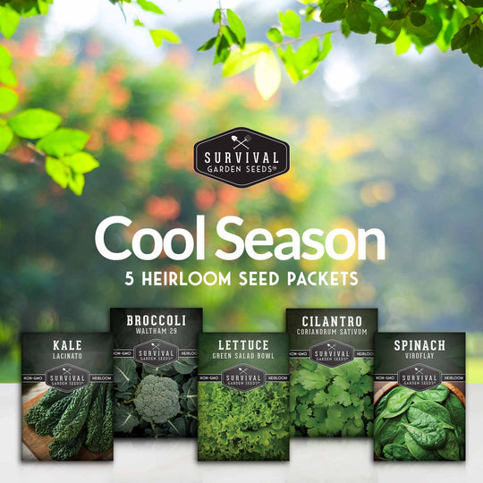 Survival Garden Seeds: Cool Weather Vegetable Seed Collection - Spinach, Kale, Cilantro, Broccoli, and Leaf Lettuce