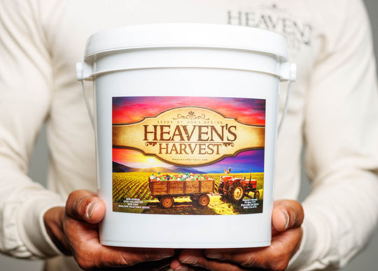 Heaven's Harvest: Heirloom Vegetable Seed Kit