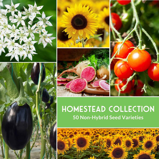 Survival Garden Seeds: Homesteader Collection - 50 Varieties of Vegetables & Herbs
