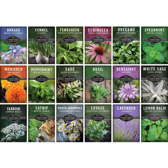 Survival Garden Seeds: Medicinal Herb Collection - 18 Medicinal Herbs