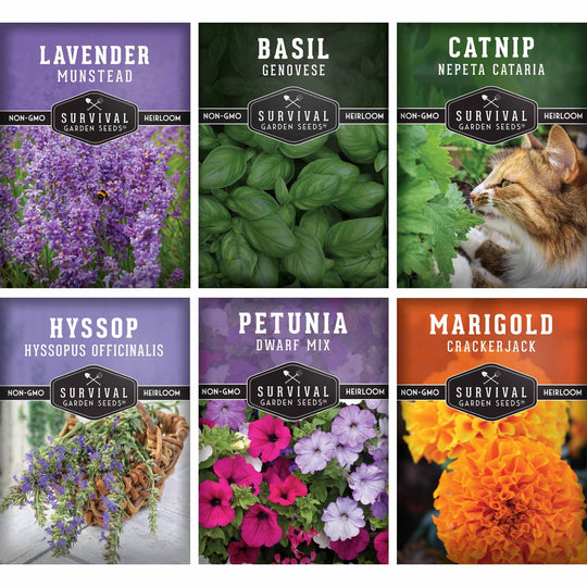 Survival Garden Seeds: 6 Pest Defense Herb & Flower Seeds - Repel Garden Pests Naturally