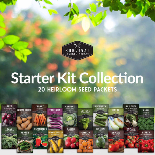 Survival Garden Seeds: Starter Kit Seed Vault - 20 Delicious Varieties of Vegetables